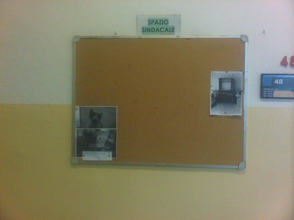 IMG00092-20140704-1004